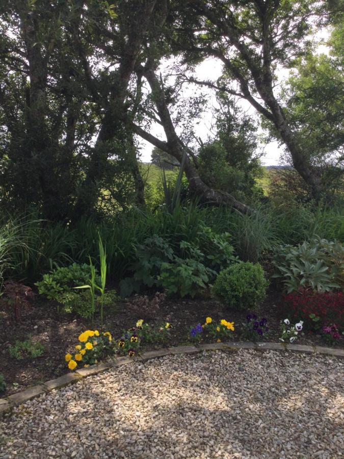 Tullybeggs B&B Clifden Dış mekan fotoğraf