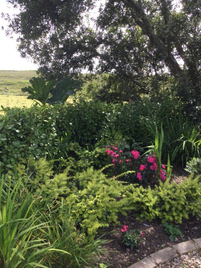 Tullybeggs B&B Clifden Dış mekan fotoğraf
